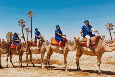 camels ride in marrakech