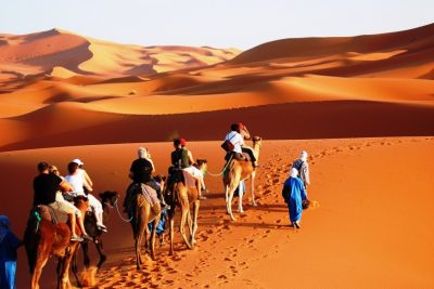 trip to sahara desert